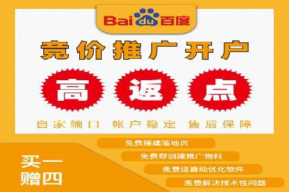 百度推广实战案例：如何精准投放广告